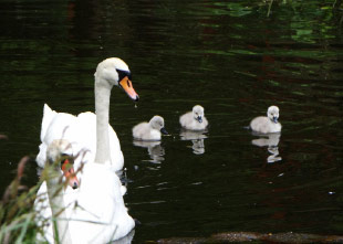 Selbstliebe – na klar!